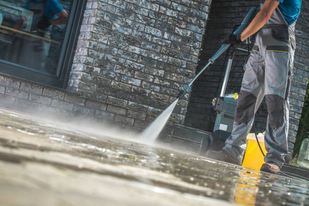 Best Roof Cleaning and Mildew Removal in Lumberton, TX