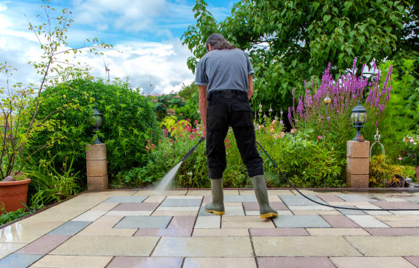 Professional Pressure Washing Services in Lumberton, TX