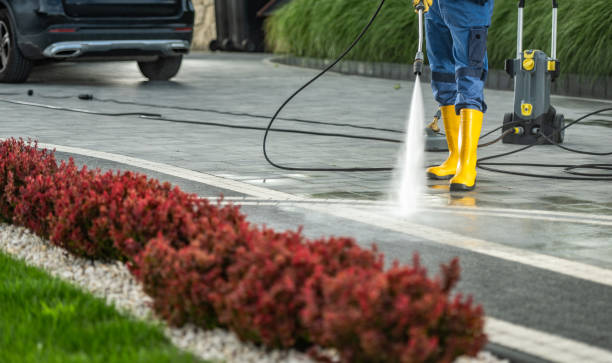Best Driveway Cleaning and Restoration in Lumberton, TX